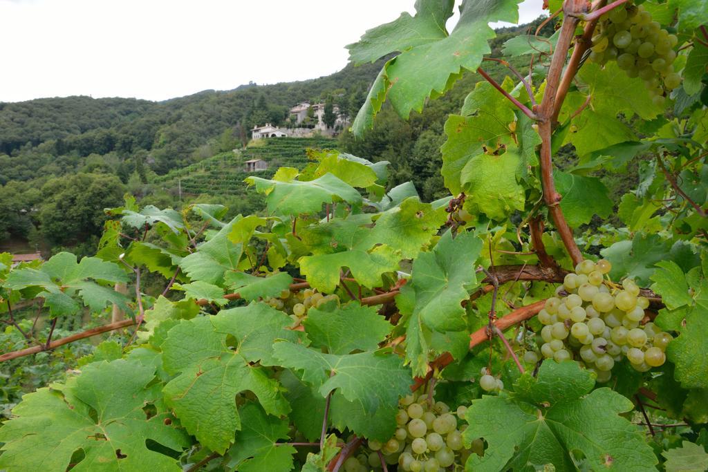 Agriturismo Crodi Miane Extérieur photo