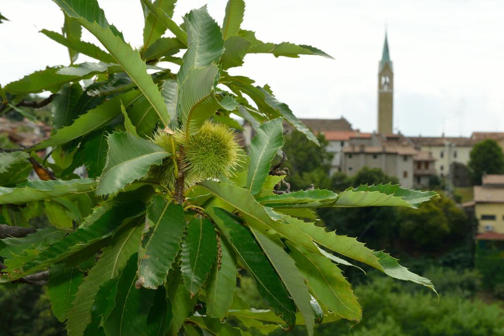 Agriturismo Crodi Miane Extérieur photo